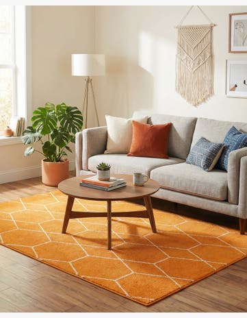 Orange Lattice Frieze Rug