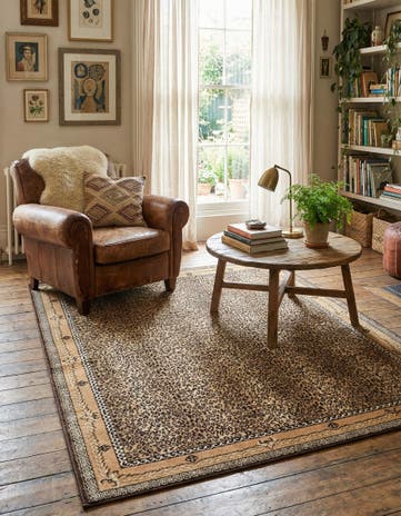4' x 6' Savannah Rug