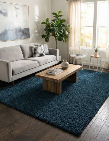 10' x 13' Solid Shag Rug