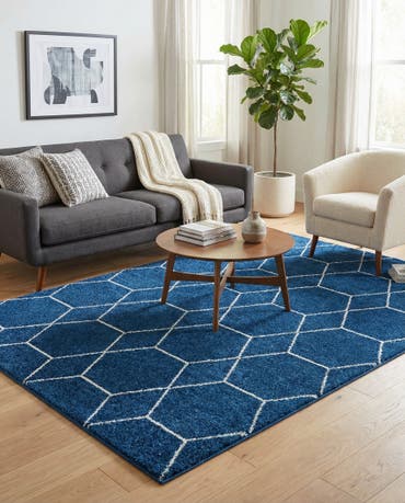  6' x 9' Lattice Frieze Rug