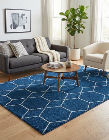 6' x 9' Lattice Frieze Rug