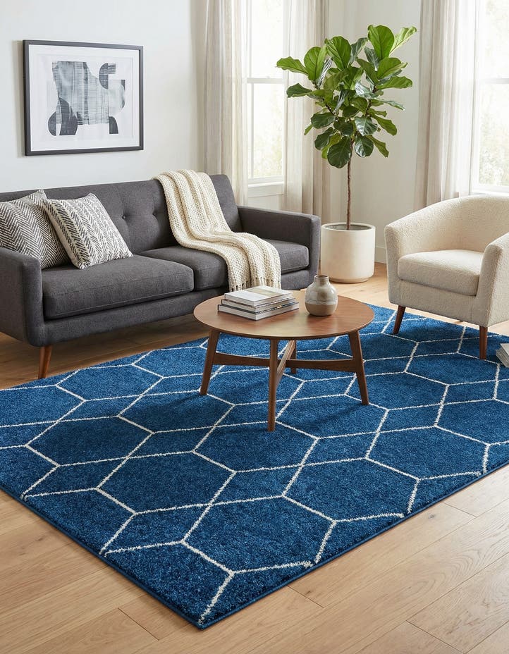 6' x 9' Lattice Frieze Rug