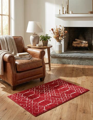 2' x 3' Paxon Trellis Rug