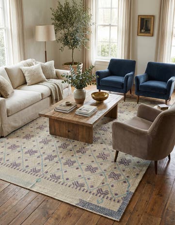 8' 7 x 12' 6 Hand Knotted Darya Wool Rug