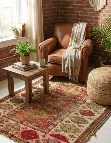 3' 9 x 4' 9 Hand Knotted Shiraz Persian Wool Rug
