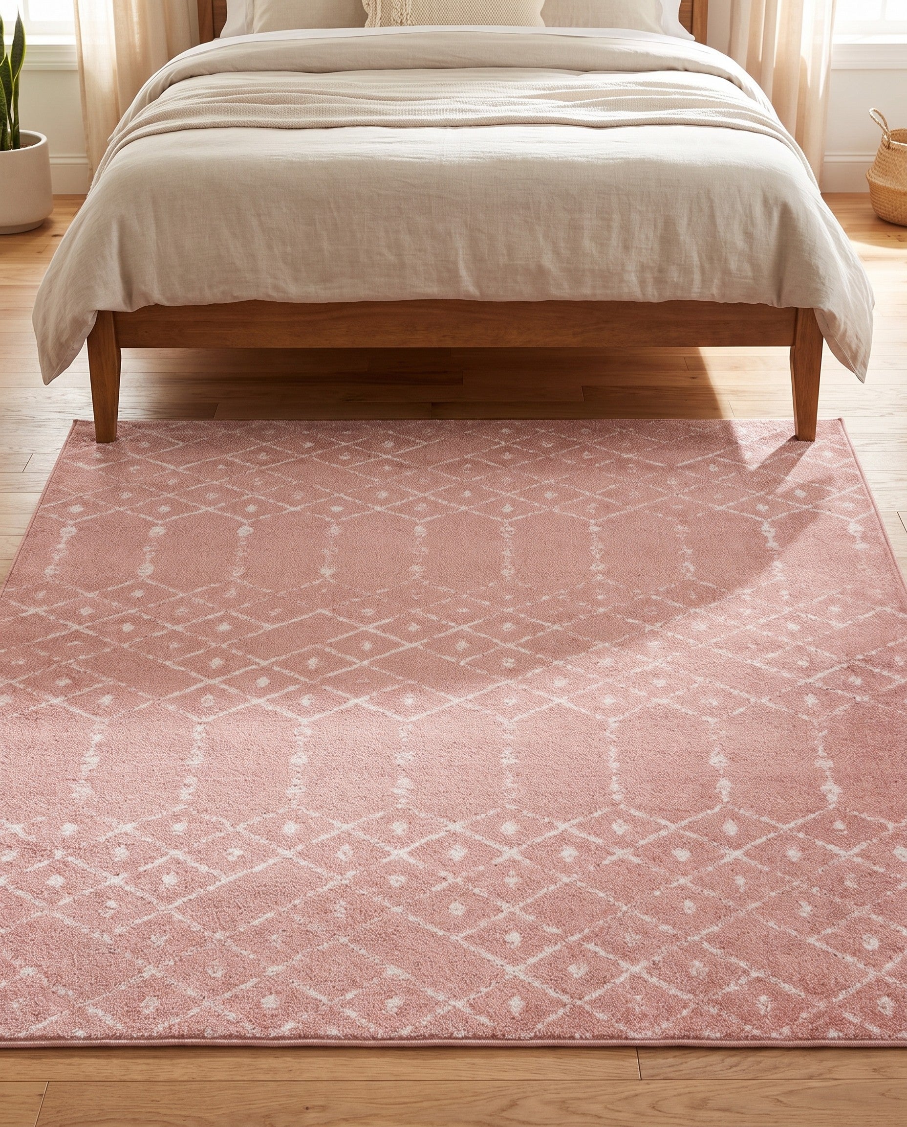 6' 1 x 6' 1 Paxon Trellis Square Rug