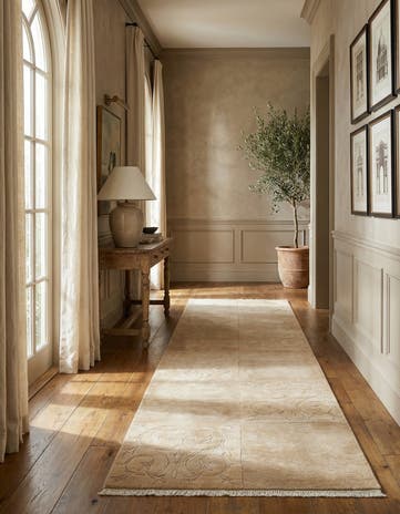 3' 4 x 9' 10 Darya Runner Rug