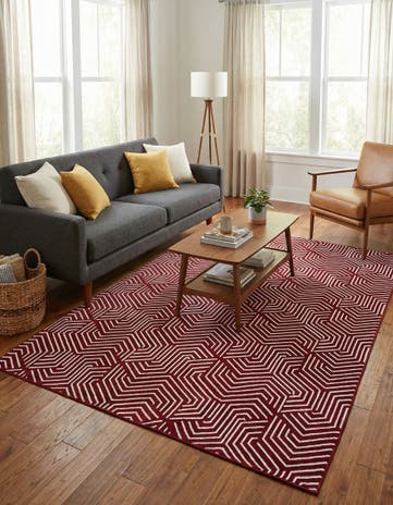 Burgundy Red Aakaar Rug