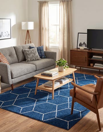 7' 10 x 11' Lattice Frieze Rug