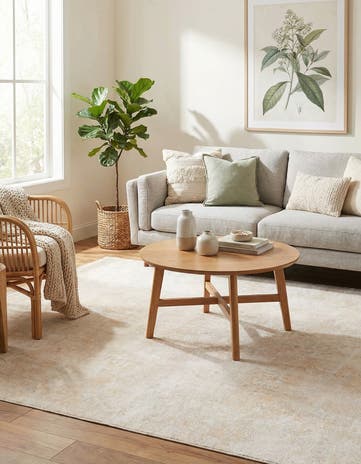 5' 1 x 7' 10 Boutique Rug