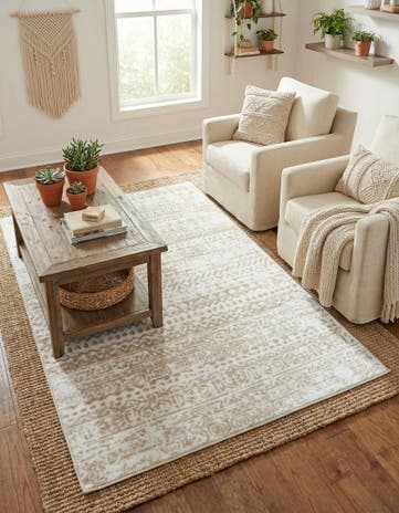 3' 3 x 5' 3 Hermitage Rug