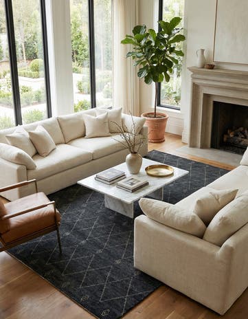 9' 4 x 12' 5 Hand Knotted Darya Wool Rug