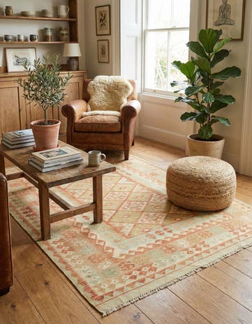 4' 9 x 6' 7 Hand Woven Kilim Waziri Wool Rug
