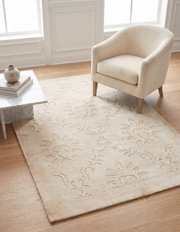 3' 11 x 5' 9 Darya Rug