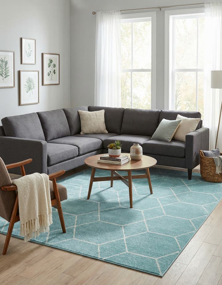 9' x 12' Lattice Frieze Rug