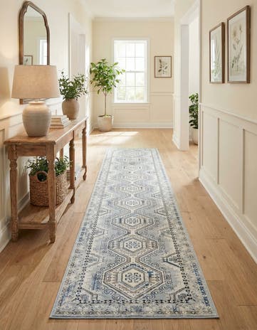 3' x 16' 5 Charlotte Runner Rug
