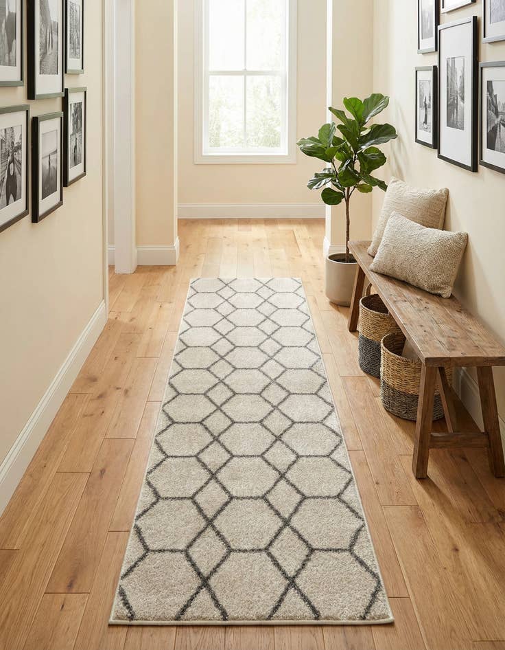 Detail image of  2' x 9' Lattice Frieze Runner Rug