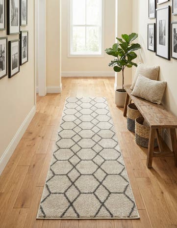 2' x 9' Lattice Frieze Runner Rug