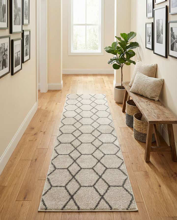 2' x 9' Lattice Frieze Runner Rug
