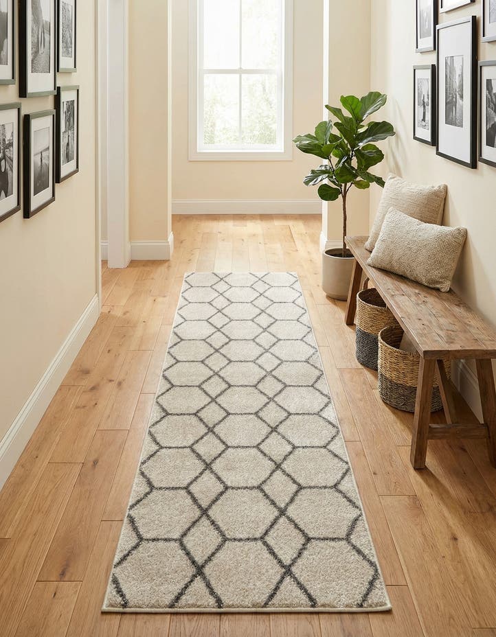 2' x 9' Lattice Frieze Runner Rug