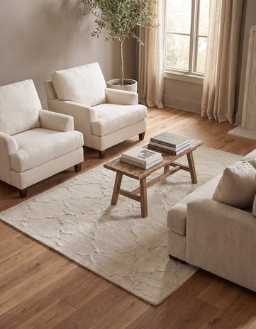 4' x 6' Hand Knotted Darya Rug