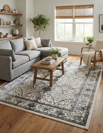 7' 10 x 11' Miranda Rug
