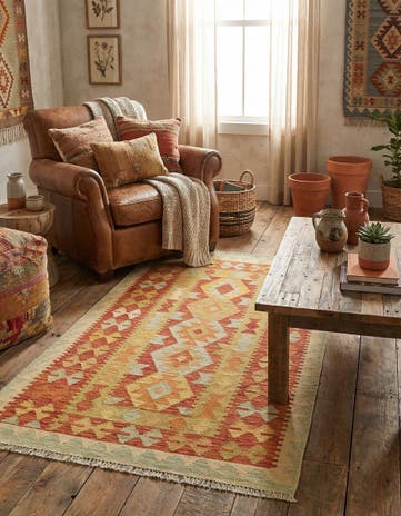 2' 8 x 4' 9 Hand Woven Kilim Waziri Wool Rug