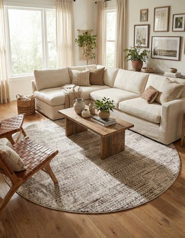 10' 8 x 10' 8 Hermitage Round Rug