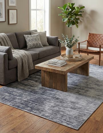 4' x 6' Asha Rug