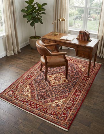 3' 5 x 5' 7 Djosan Rug