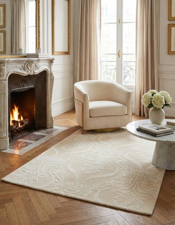 4' x 6' 1 Darya Rug