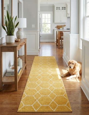 2' x 10' Lattice Frieze Runner Rug