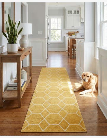 2' x 10' Trellis Frieze Runner Rug