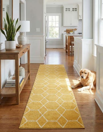 2' x 10' Lattice Frieze Runner Rug