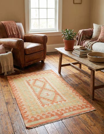 2' 8 x 4' 2 Hand Woven Kilim Waziri Wool Rug