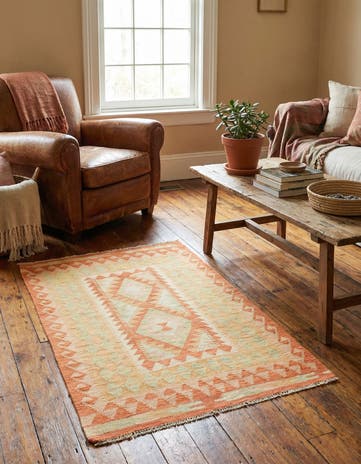 2' 8 x 4' 2 Hand Woven Kilim Waziri Wool Rug