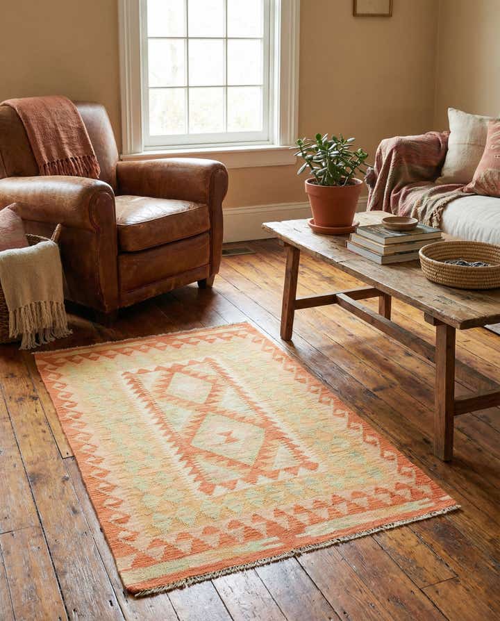 2' 8 x 4' 2 Hand Woven Kilim Waziri Wool Rug