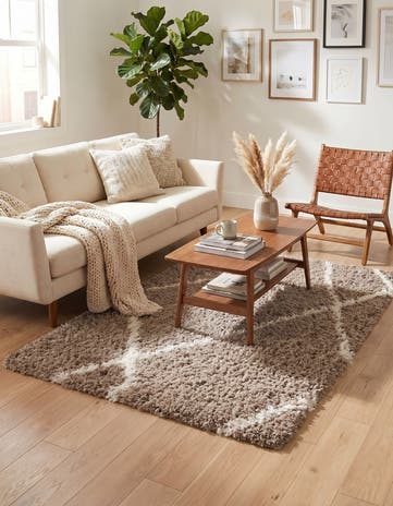 4' x 6' Infinity Shag Rug