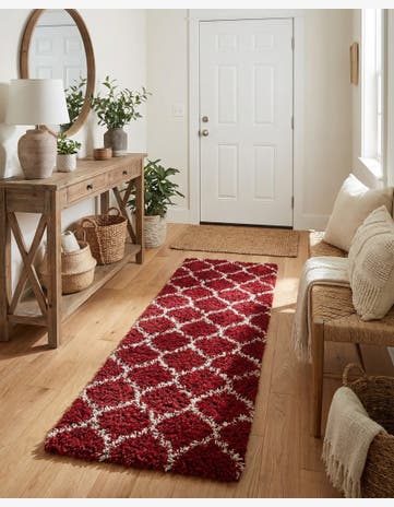 2' x 7' Trellis Shag Runner Rug