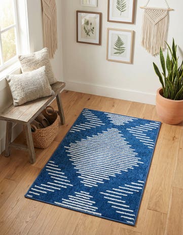 2' x 3' Kai Rug