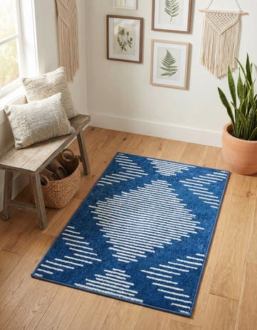 2' x 3' Kai Rug
