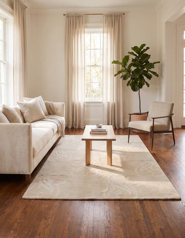 3' 11 x 6' Hand Knotted Darya Wool Rug