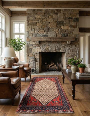 3' 6 x 9' 3 Hamedan Rug