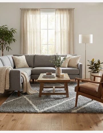 Ash Gray Infinity Shag Rug