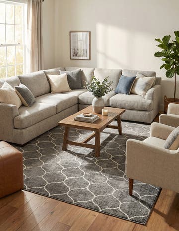 9' x 12' Lattice Frieze Rug