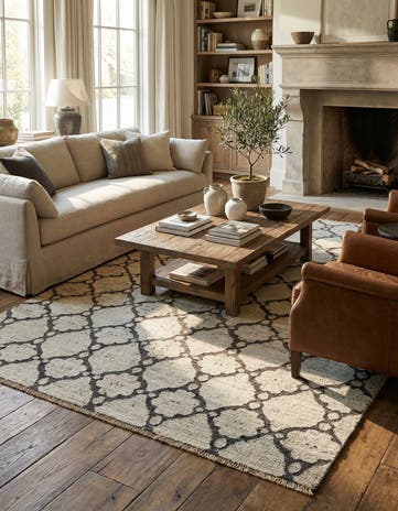 6' 7 x 9' 9 Hand Knotted Darya Wool Rug