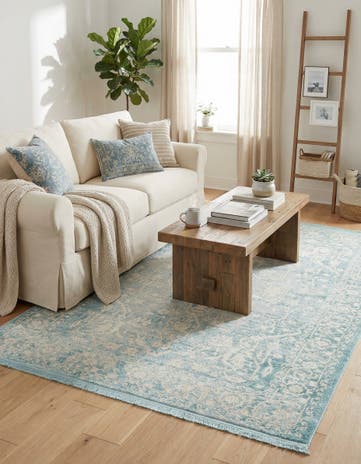 4' x 6' Modern Classical Rug