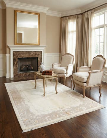4' x 6' Darya Rug