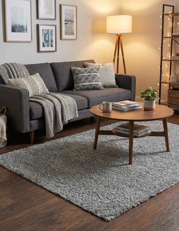 4' x 6' Zermatt Shag Rug