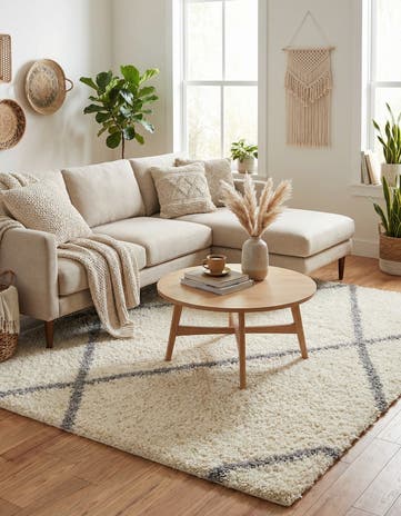 8' x 10' Infinity Shag Rug